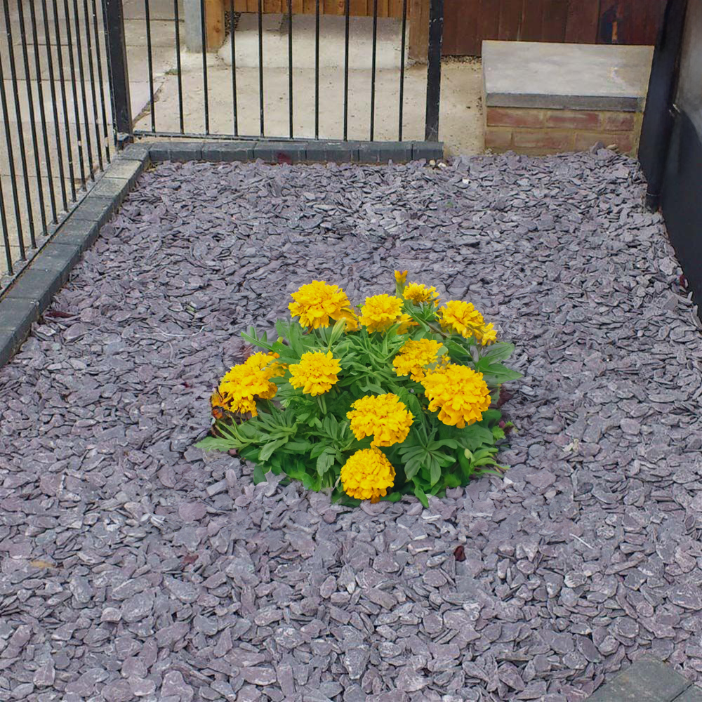 40mm Plum Slate Chippings