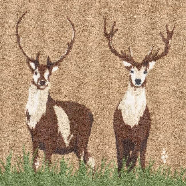 Eco-Friendly Washable Animals Mat