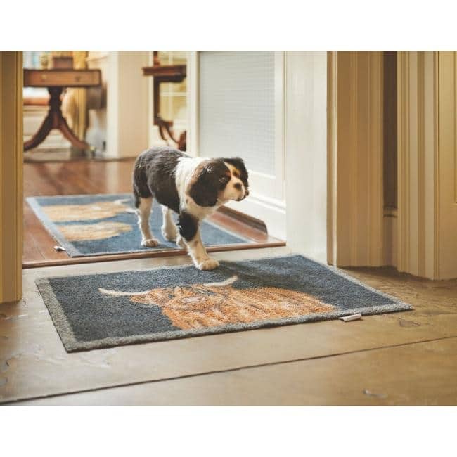 Eco-Friendly Washable Cow Mat