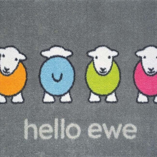 Eco-Friendly Washable Home and Animal Mat – 65X85 cm