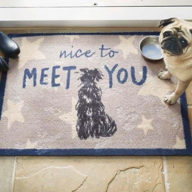 Eco-Friendly Washable Home and Animal Mat – 65X85 cm