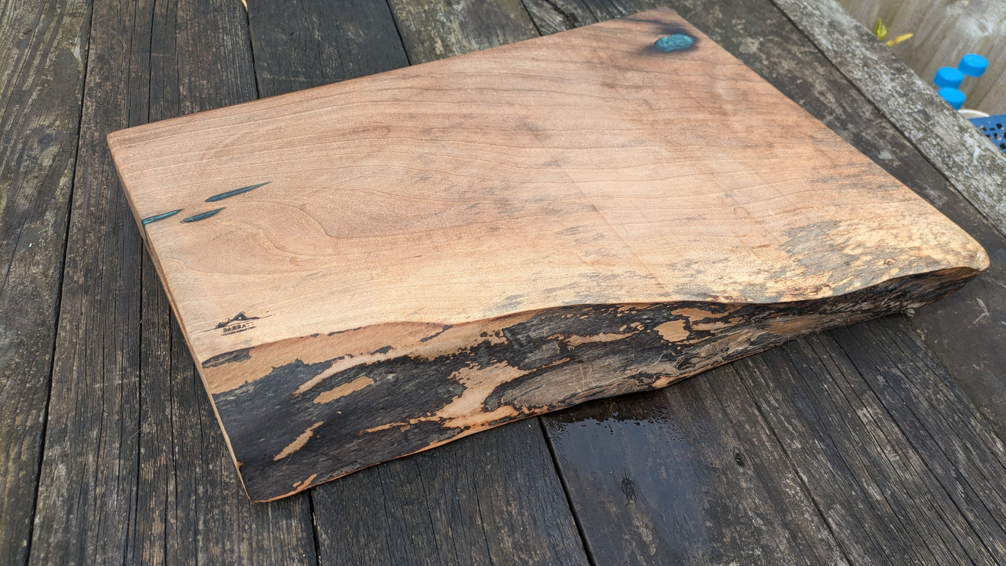 English Walnut with turquoise highlights