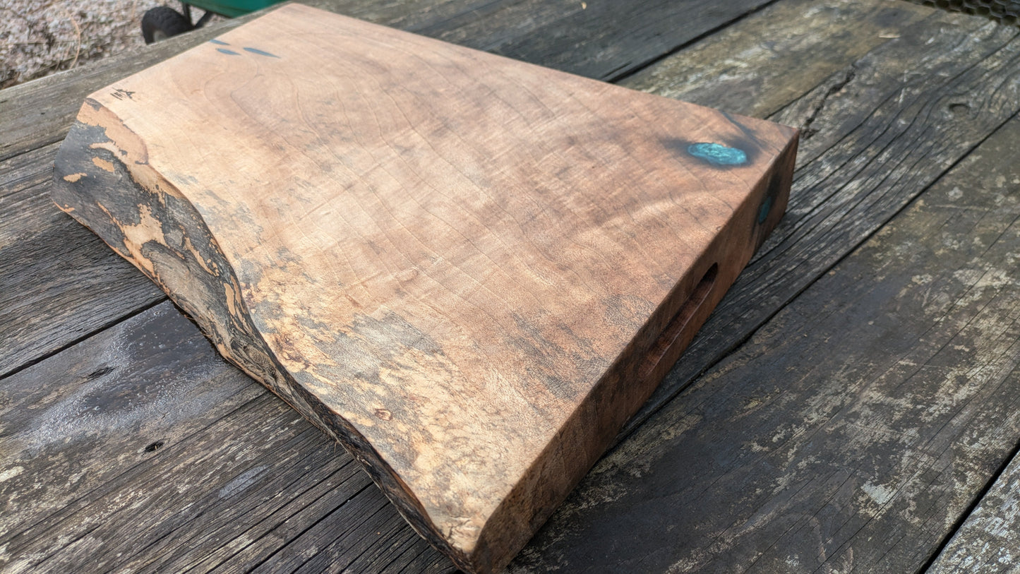 English Walnut with turquoise highlights