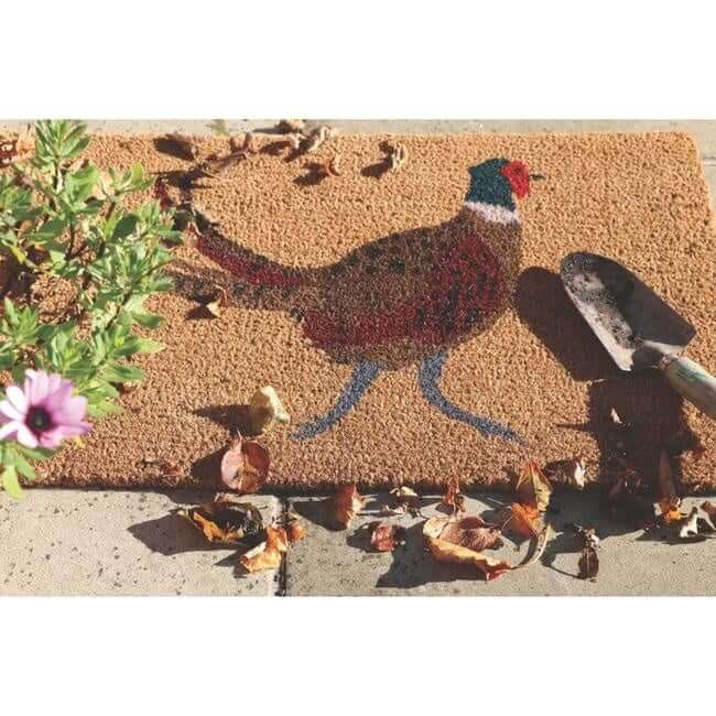 Printed Coir Doormats 45x75 cm